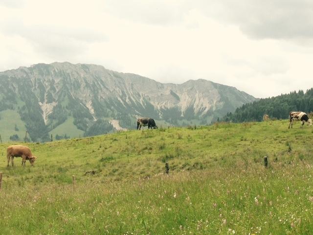 Ferienwohnung Himmel Oberstaufen Quarto foto